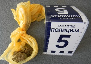 NIS02 marihuana koju su zaplenile niska i beogradska policija foto MUP