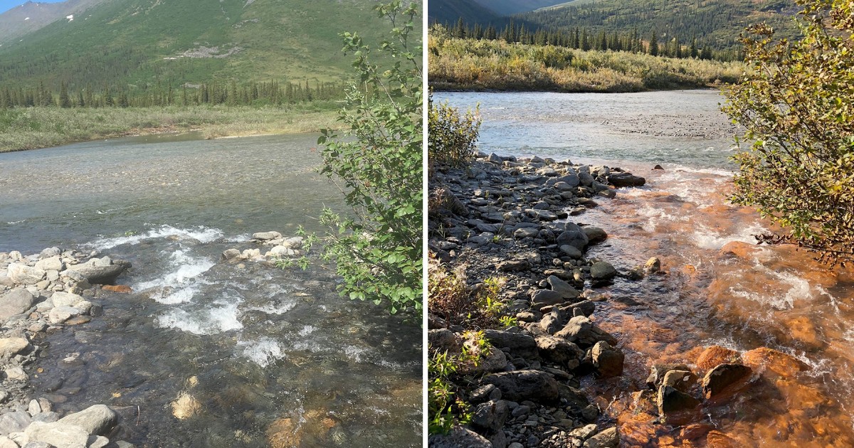 Alaska's once crystal-clear rivers now resemble dirty orange soda ...