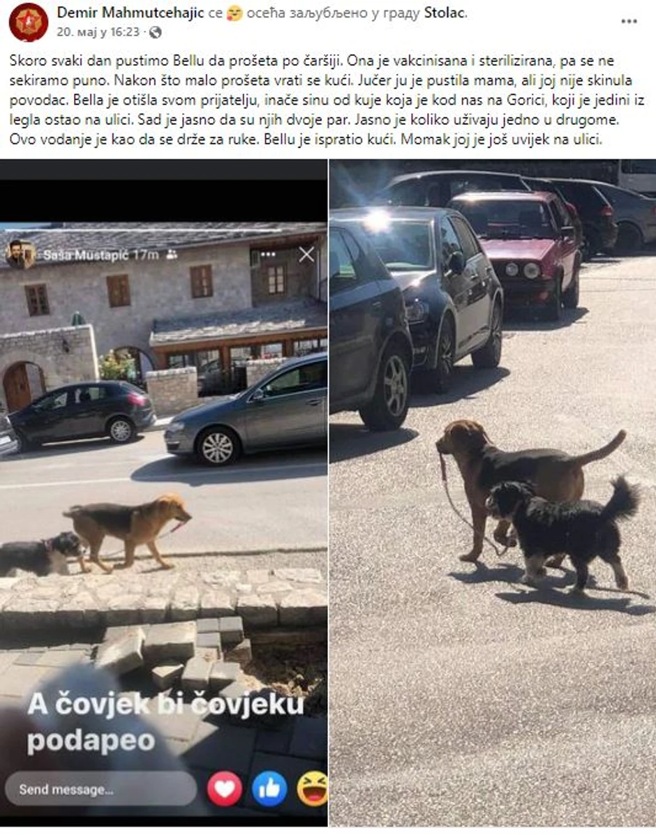 Bela i njen dragi iz Stolca