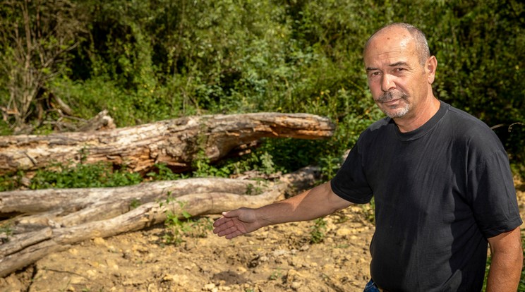 Markaly László, a szomszéd gazda mutatja, hol ásatta el a tetemeket idegen földterületen Bruder Márton képviselő