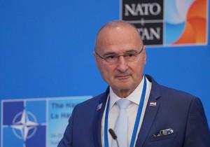 Gordan Grlić Radman