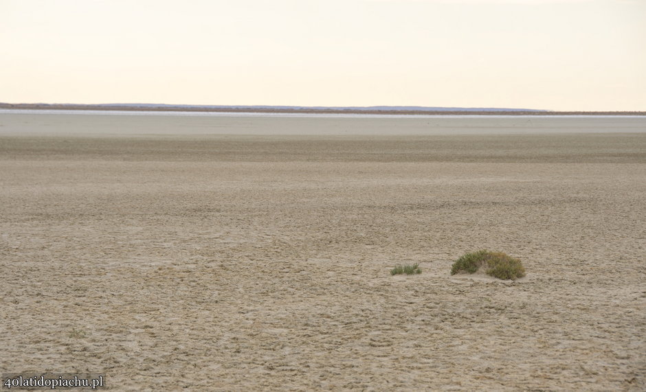 Dno jeziora Aralskiego obecnie, 20 km od "brzegu"...