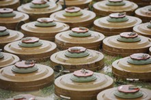 Amnesty International alarmuje: decyzja rządu uderzy w Polaków, nie w Rosję