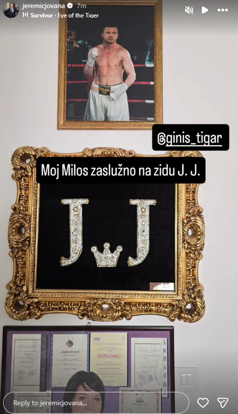 Jovana uramila Tigrovu sliku u stanu