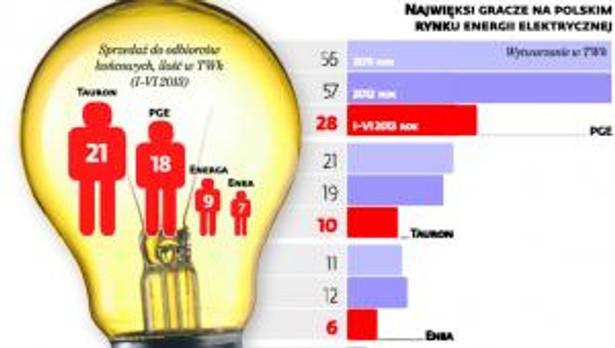 Najwięksi gracze na polskim rynku energii elektrycznej