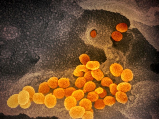 Korona virus