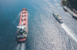 Problemy dziewiczego rejsu ze zbożem. Liban nie chce ukraińskiej kukurydzy