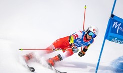 Alpejski PŚ: Fantastyczny drugi przejazd Gąsienicy-Daniel w gigancie