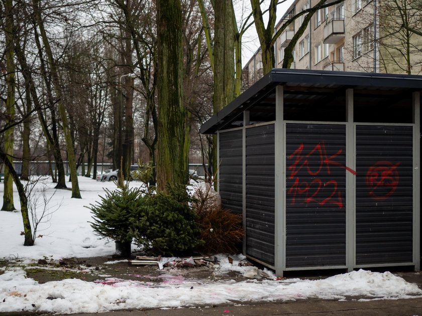 Co zrobić z choinką po świętach? 