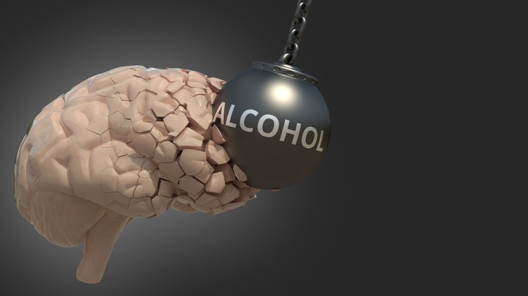 alkohol hatása máj agy