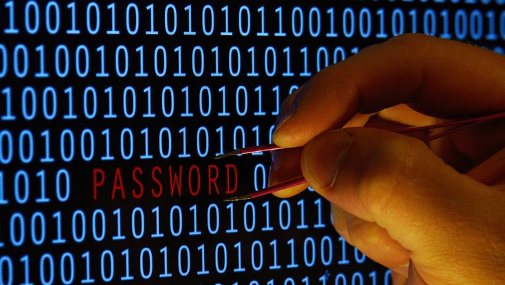 Atak hakerski na proces wyborczy w Polsce 2050? Eksperci nie mają wątpliwości