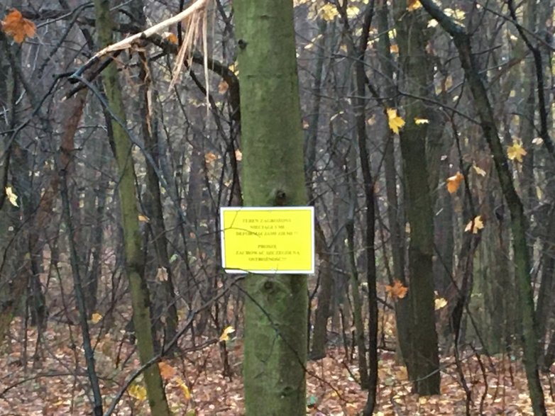 Teren po zapadlisku na osiedlu przy garażach i bloku nr 26