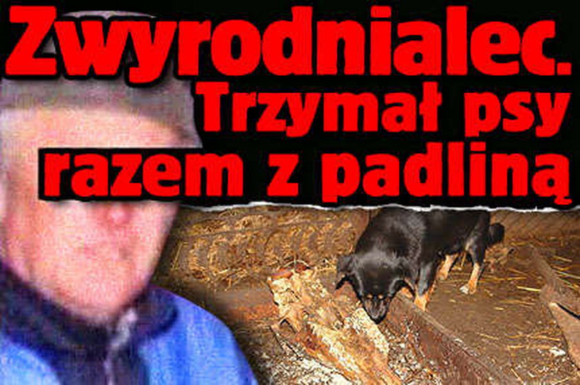 Trzymał psy razem z padliną