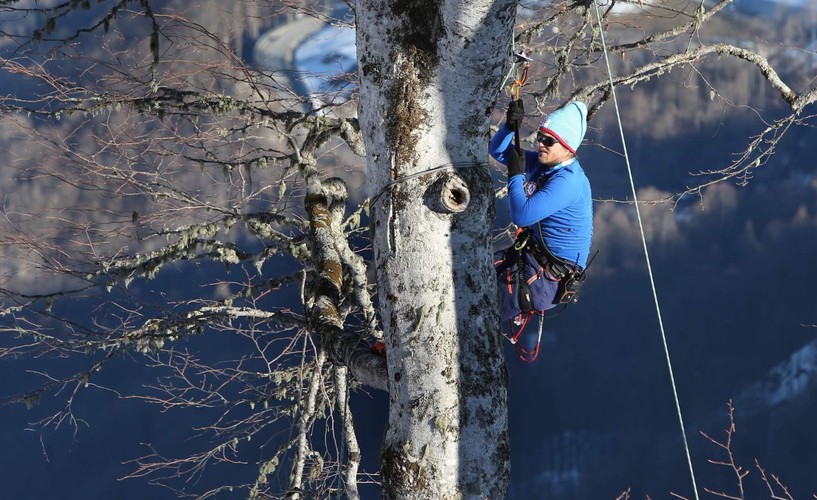 Członek fińskiej drużyny obserwuje z drzewa zjazd kobiet. Fot. EPA/KARL-JOSEF HILDENBRAND