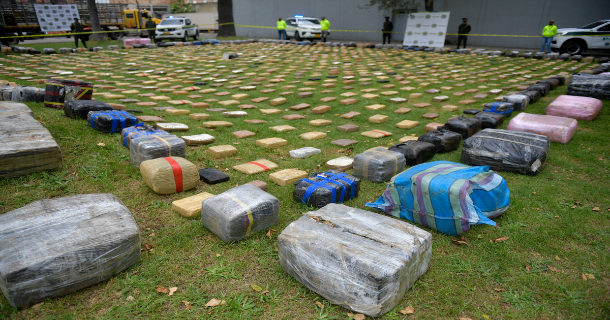 Búnker de la droga en Petrer: 741 plantas, arsenal y 6 kilos de cogollos desmantelados