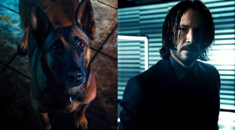 John Wick és az új kutya