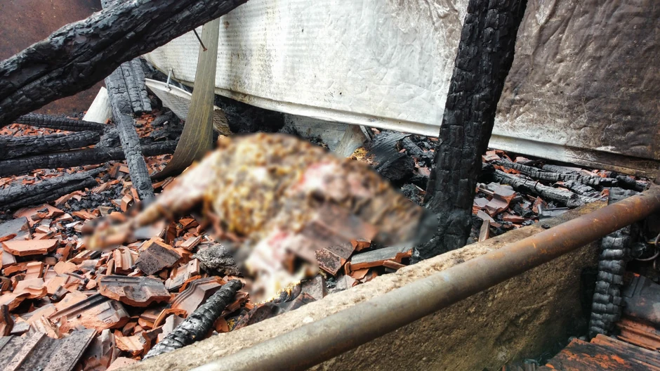 Potresne slike požara