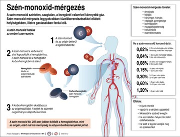 A szénmonoxid-mérgezés veszélyei