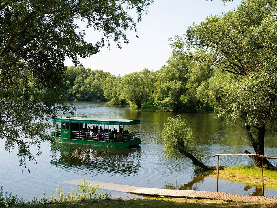 Park Krajobrazowy Kopački Rit w Chorwacji