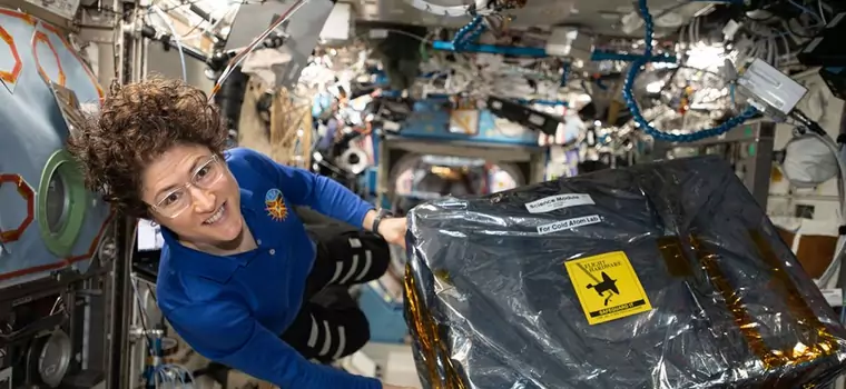 Christina Koch ustanawia rekord przebywania w kosmosie wśród astronautek
