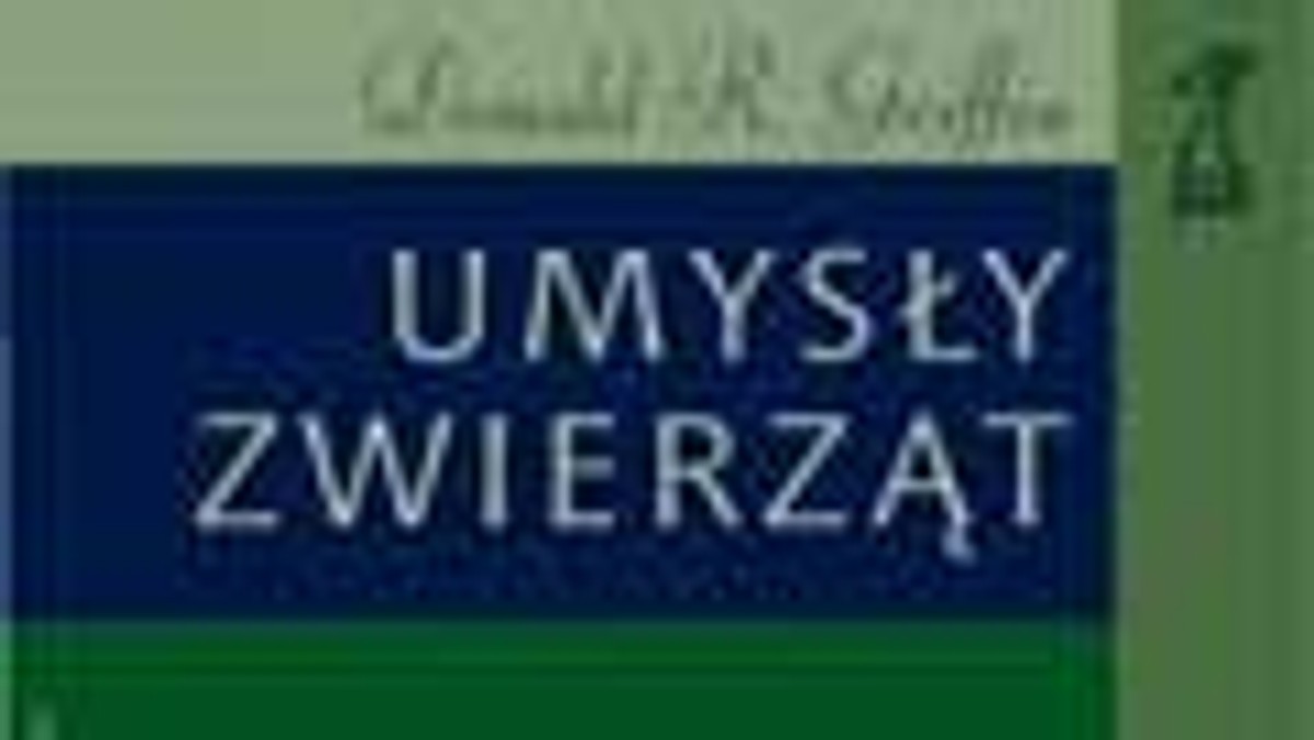 Głodny szympans wędrujący przez swój rodzimy las deszczowy spostrzega ogromny orzech (Panda oleosa) leżący na ziemi pod jednym z rozłożystych drzew panda. Wie, że takie orzechy są zbyt twarde, by je rozłupać rękami czy zębami, i choć inne orzechy (Coula edulis), których mnóstwo leży wokół, może rozbić, używając kawałka gałęzi lub zwykłego kamienia, to by otworzyć ten orzech, musi posłużyć się bardzo twardym kawałkiem skały.