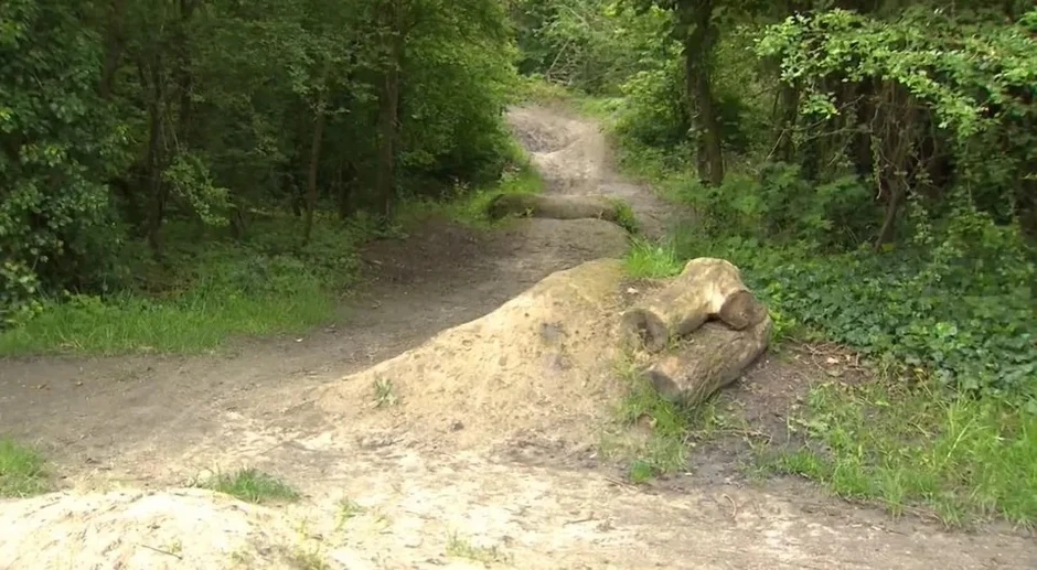 Stravično grupno silovanje u Belgiji