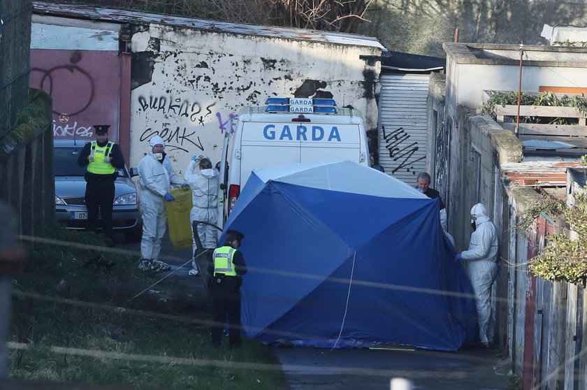 W Dublinie znaleziono głowę, ręce i nogę nastolatka