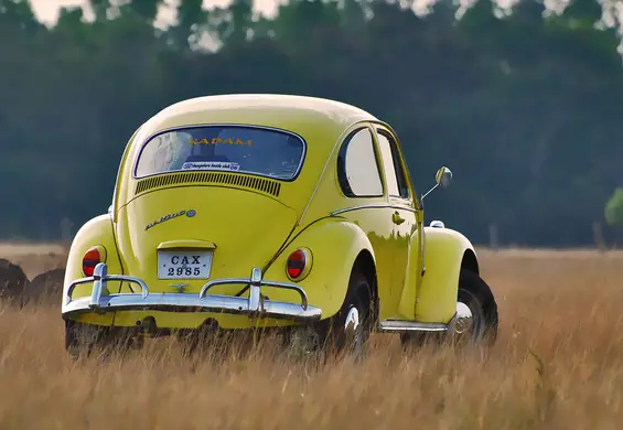 To koniec Garbusów. Volkswagen uśmierca kultowy model samochodu