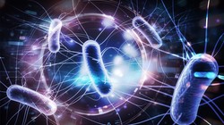 [QUIZ] Czy uważałeś na lekcjach biologii? 8/10 punktów to wstyd