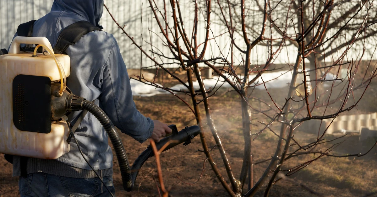 Oprysk olejem parafinowym - termin, proporcje. Co można pryskać olejem parafinowym?