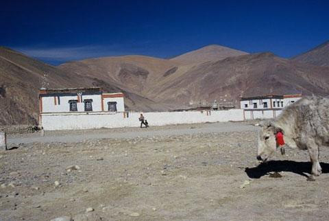Galeria Tybet - 7 dni w Tybecie, obrazek 6