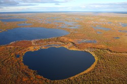 Archeolodzy przyznają: Fortyfikacje odkryte na Syberii przeczą dotychczasowej wiedzy