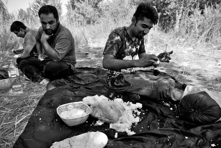 Uchodźcy w Suboticy, Serbia