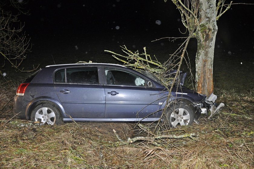 Auto rozstrzelało się na drzewie