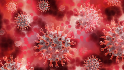 Rossz hír: elérte a 2,8 milliót a koronavírus halálos áldozatainak száma világszerte