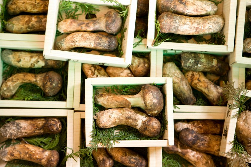 3. Matsutake – do 16 tys. zł/kg