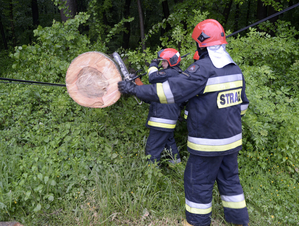 PRZEMYŚL POGODA OPADY DESZCZU WIATR (strażacy usuwają powalone drzewo)