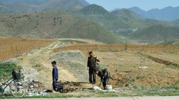 północnokoreańscy żołnierze zginęli pod donieckiem. "przybyli na front