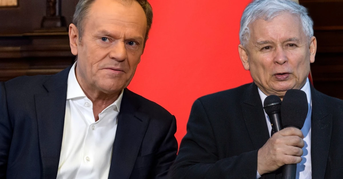 Donald Tusk nie zostawia wątpliwości. "Bez Brauna Kaczyński nie ma szans"