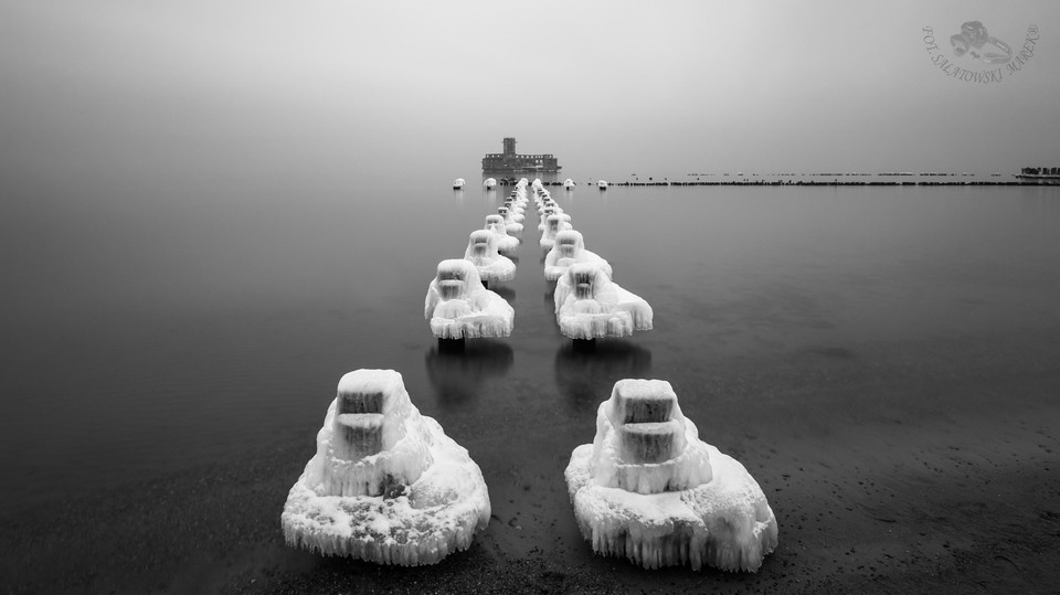 zdjecia gdynia. Marek Sałatowski (12)