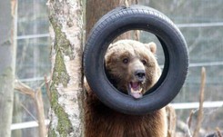 Obrońcy praw zwierząt oskarżeni o agitację w przedszkolach. 'Raz jesteśmy lewakami, raz KOD-owcami, teraz pewnie PiS-owcami'