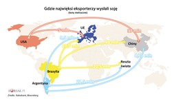 Wojna handlowa na plantacjach soi. Dlaczego te nasiona są tak ważnym orężem w konflikcie USA-Chiny?