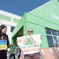 Bojkot Auchan i Leroy Merlin. Wezwanie do dymisji zarządów polskich oddziałów