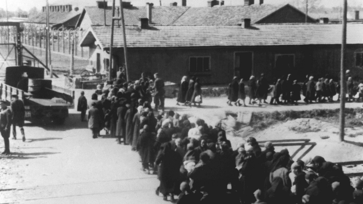 Concentration camp - Auschwitz