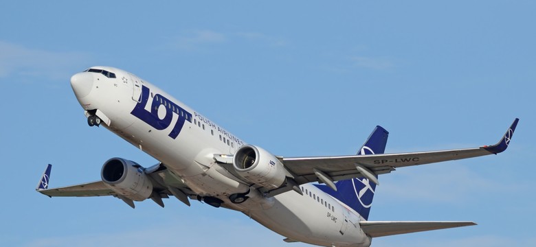 Odwołane loty w marcu 2026. Gdzie nie polecą samoloty? Linie lotnicze wydają komunikaty i zwracają pieniądze dla klientów