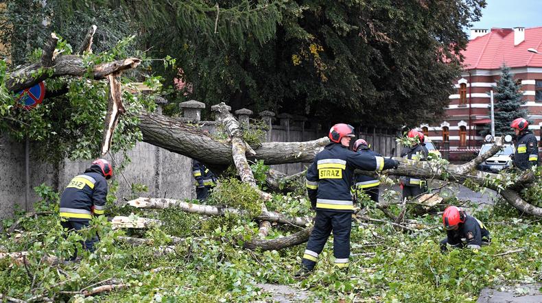 Strażacy usuwają drzewo, które złamało się podczas wichury - zdjęcie archiwalne z 22.09.2018 r.