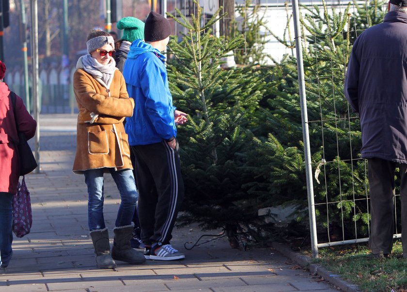 Alicja Bachleda-Curuś, Tadeusz i Paulina Krupińska kupują choinkę