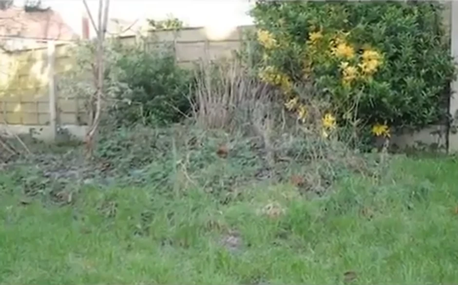 Barbara Kumbz je ubila oca i zakopala njegovo telo u dvorištu