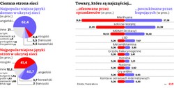 Tu jest wszystko, co nielegalne. Odsłaniamy tajemnice ukrytej sieci