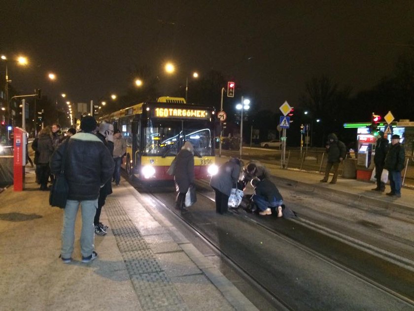 Autobus linii 160 potrącił mężczyznę przy ZOO